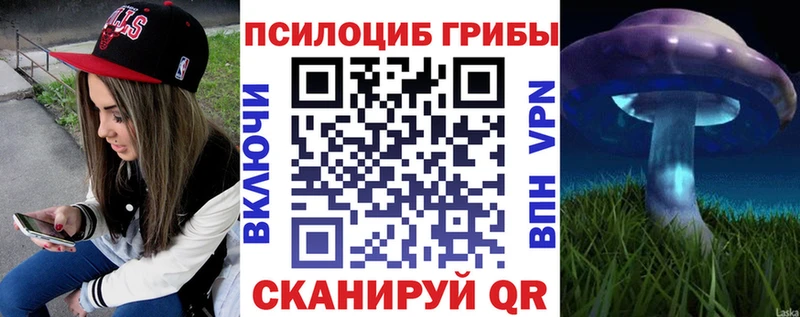 Псилоцибиновые грибы Magic Shrooms  Купить  Бавлы 