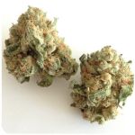 Шишки "White Widow"  (Белая вдова)  Гидропоника -  Бошка VHQ в Бавлах